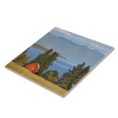 Rote Scheune sitzt entlang landschaftlichem Fliese (Seite)