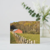 Rote Scheune und Fencerow entlang des Blue Ridge Postkarte (Stehend Vorderseite)