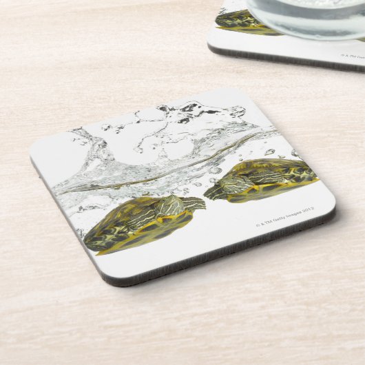 Rote Schieberschildkröten Getränkeuntersetzer (Linke Seite)