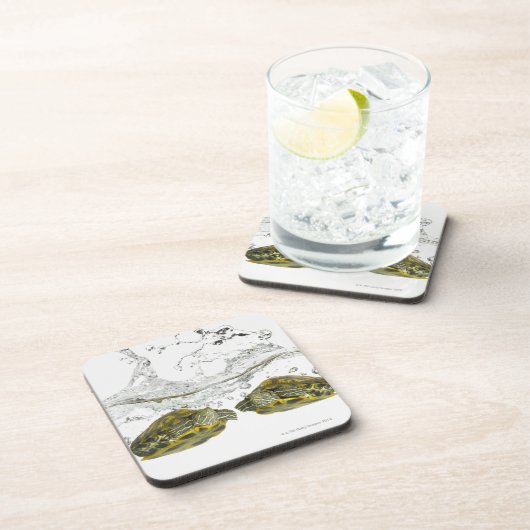 Rote Schieberschildkröten Getränkeuntersetzer (Rechte Seite)