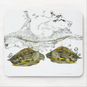Rote Schieberschildkröten Mousepad