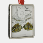 Rote Schieberschildkröten Ornament Aus Metall (Rechts)