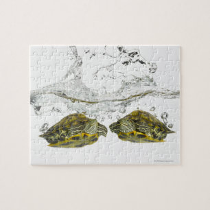 Rote Schieberschildkröten Puzzle