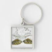 Rote Schieberschildkröten Schlüsselanhänger (Vorne)