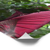 Rote Schirme am Himmel - Asiatisches Poster (Ecke)