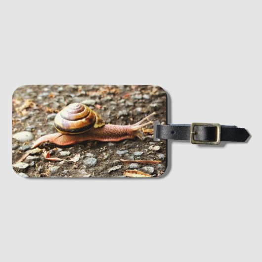 Rote Schnecke am Boden Gepäckanhänger (Vorderseite (Horizontal))