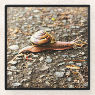 Rote Schnecke am Boden Glasuntersetzer