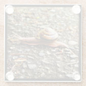 Rote Schnecke am Boden Glasuntersetzer (Rückseite)