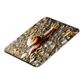 Rote Schnecke am Boden Magnet (Linke Seite)
