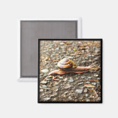 Rote Schnecke am Boden Magnet (Vorderseite/Rückseite)