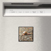 Rote Schnecke am Boden Magnet (In Situ (Geschirrspüler))