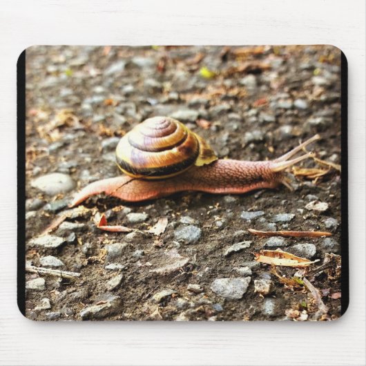 Rote Schnecke am Boden Mousepad (Vorne)