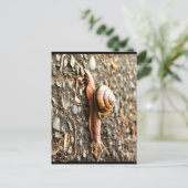 Rote Schnecke am Boden Postkarte (Stehend Vorderseite)
