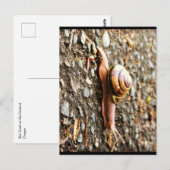 Rote Schnecke am Boden Postkarte (Vorne/Hinten)