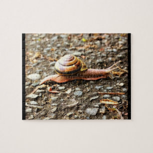 Rote Schnecke am Boden Puzzle
