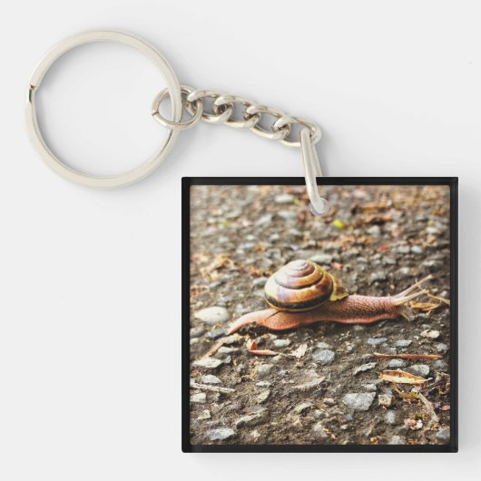 Rote Schnecke am Boden Schlüsselanhänger (Vorderseite)