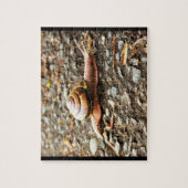 Rote Schnecke auf dem Boden Puzzle (Vertikal)