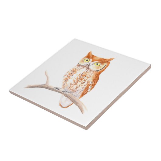 Rote Schrei-Eulen-Fliese Fliese (Seite)