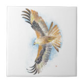 Rote Schwanz-Falke-Kunst Fliese (Vorderseite)