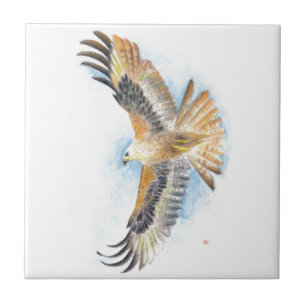 Rote Schwanz-Falke-Kunst Fliese