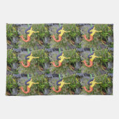 Rote Schwanz Küchentuch (Horizontal)