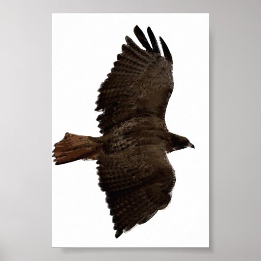 Rote Schwanz Poster (Vorne)