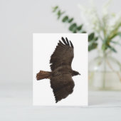 Rote Schwanz Postkarte (Stehend Vorderseite)