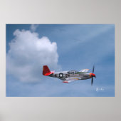 Rote Schwänze auf Anfrage Poster (Vorne)