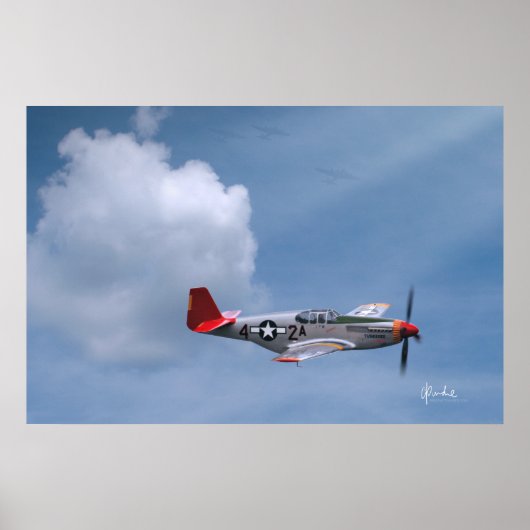 Rote Schwänze auf Anfrage Poster (Vorne)