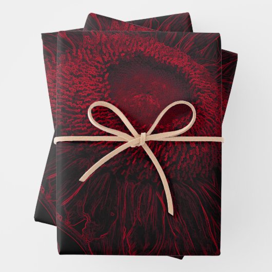 Rote Schwarze Blüte Entdeckungsreise zur Sonnenblu Geschenkpapier Set (Beispiel)