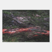 Rote schwarze Holzbäume Geschenkpapier Set (Vorderseite 3)