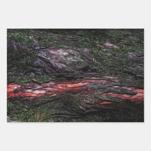 Rote schwarze Holzbäume Geschenkpapier Set (Vorderseite 2)