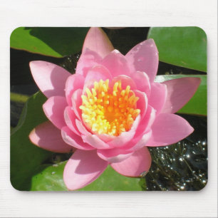 Rote Seerose Mousepad