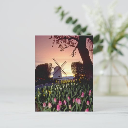 Rote Silhouette von Windmühle und Tulpen, Washingt Postkarte (Stehend Vorderseite)