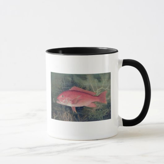 Rote Snapper, 'von den Spiel-Fischen des Tasse (Rechts)