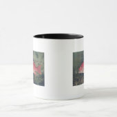 Rote Snapper, 'von den Spiel-Fischen des Tasse (Zentrum)