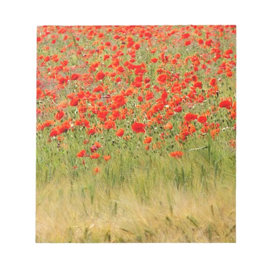 rote Sommerblume Notizblock (Vorderseite)
