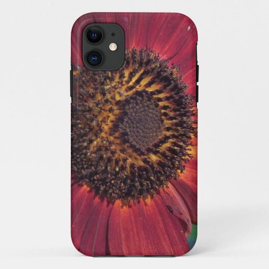 Rote Sonnenblume Case-Mate iPhone Hülle (Rückseite)