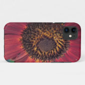 Rote Sonnenblume Case-Mate iPhone Hülle (Rückseite (Horizontal))