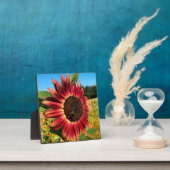 Rote Sonnenblume Fotoplatte (InSitu)