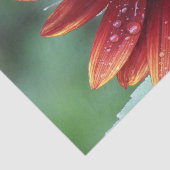 Rote Sonnenblume Grüner Hintergrund Seidenpapier (Ausschnitt)