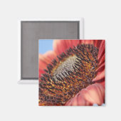 Rote Sonnenblume Magnet (Vorderseite/Rückseite)