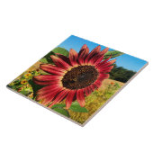 Rote Sonnenblume mit Biene Fliese (Seite)