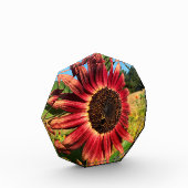 Rote Sonnenblume mit Biene Fotoblock (Links)