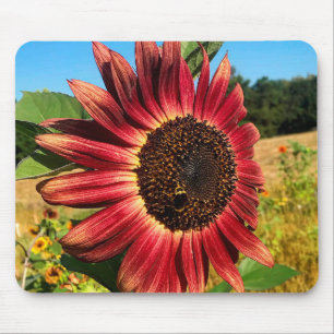 Rote Sonnenblume mit Biene Mousepad