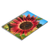 Rote Sonnenblume mit Biene Notizblock (Linke Seite)