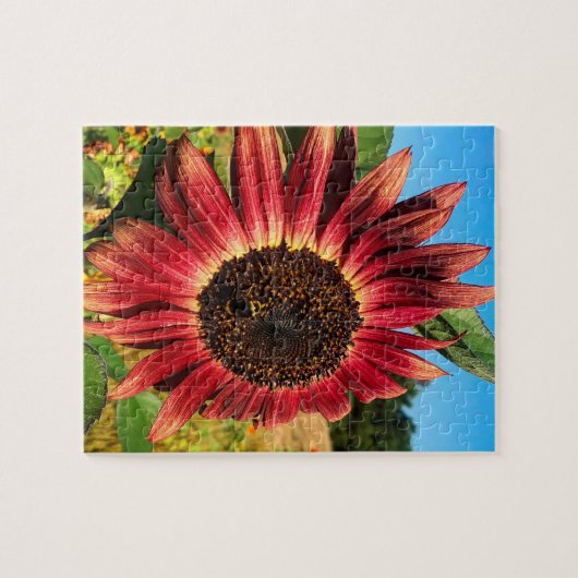 Rote Sonnenblume mit Biene Puzzle (Horizontal)