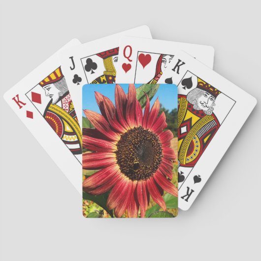 Rote Sonnenblume mit Biene Spielkarten (Rückseite)