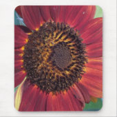 Rote Sonnenblume Mousepad (Vorne)