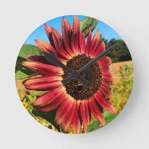 Rote Sonnenblume Runde Wanduhr
